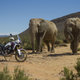 Illustration for article titled Ride Review: The 2016 Honda Africa Twin Is Exactly What We’ve Been Waiting For